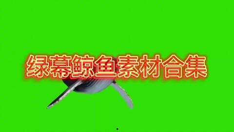 新闻爆料绿幕素材,新闻背后的特效制作秘密