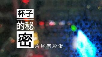 德州饭店爆料视频播放  第3张 德州饭店爆料视频播放  第3张